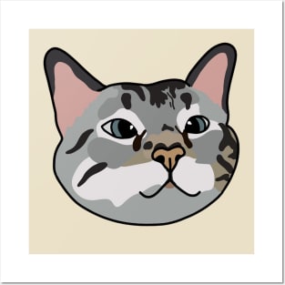 Tabby Cat Posters and Art